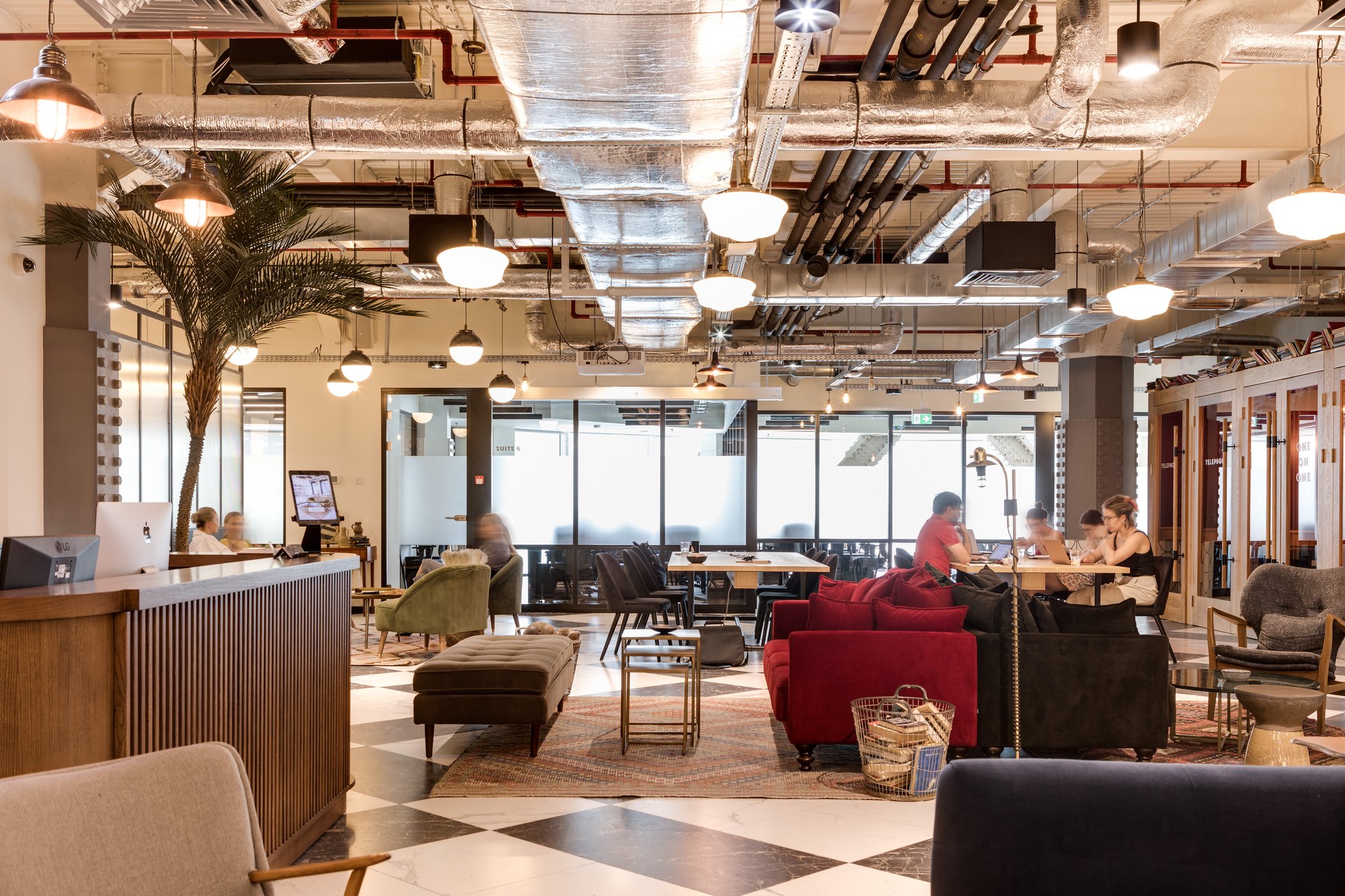 20190621-BoazArad-3W3A8256_BLENDED_HIGHLIGHTS (3)